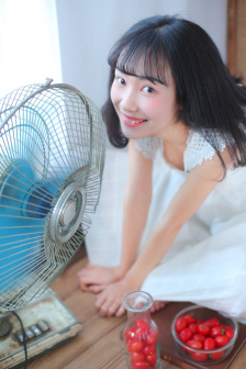 碟调网